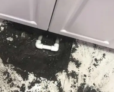 宁河查漏水哪家好